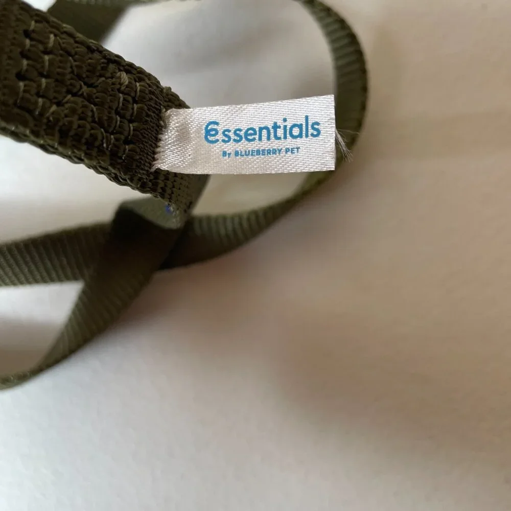 Blueberry Pet Essentials Small Dog Leash 5' x 5/8
